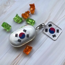 태극기 korea 대한민국 버즈(버즈플러스) 케이스 + 키링 세트